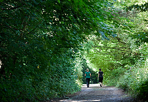 Zwei Frauen gehen mit Nordic-Walking-Stöcken auf einem Waldweg.